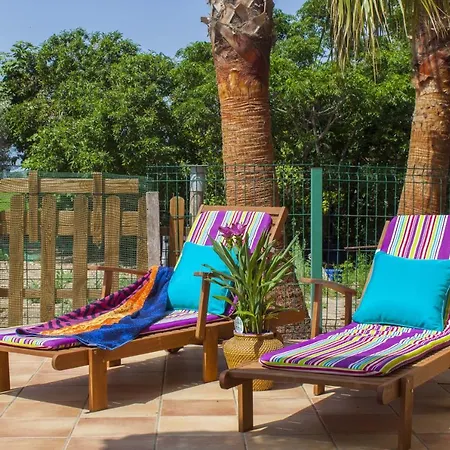 Delta Del Ebro Paradise Ebro 1 Holiday home Riumar