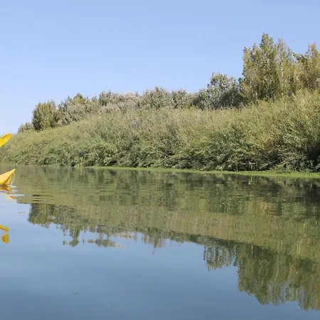 Holiday home Delta Del Ebro Paradise Ebro 1